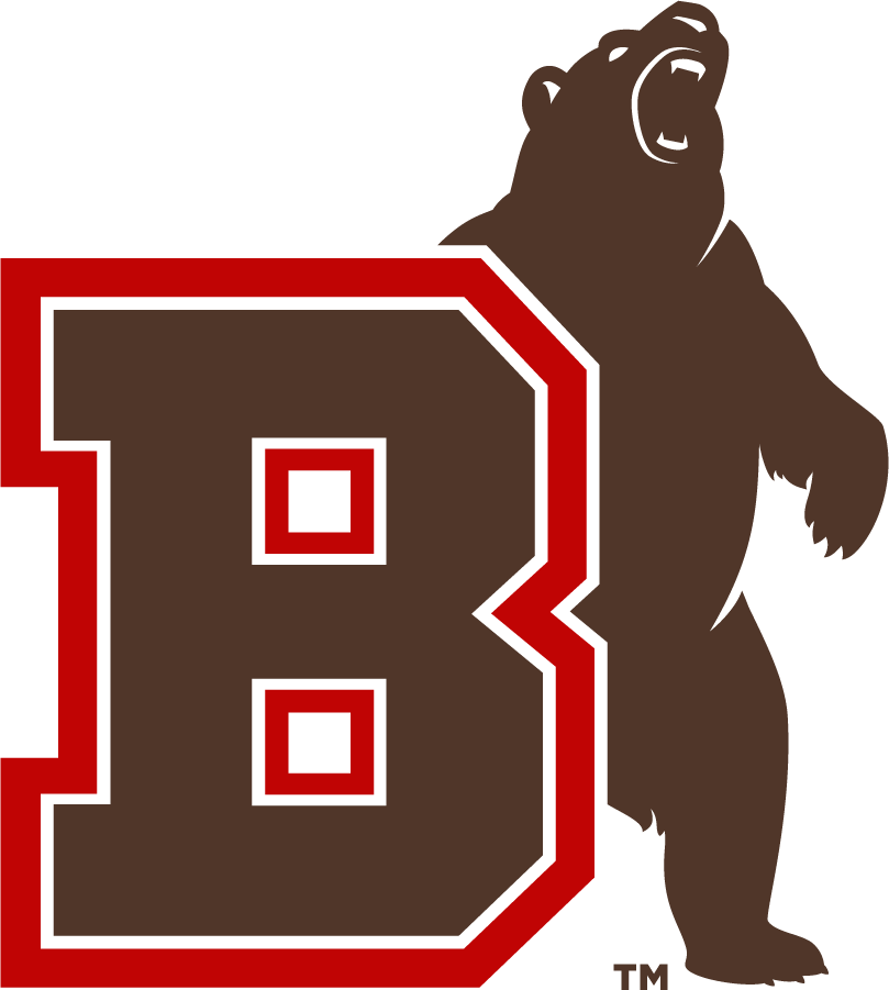 Brown Bears 2022-Pres Alternate Logo v3 diy DTF decal sticker